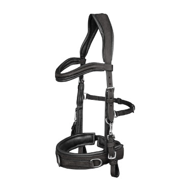 Caveçon Waldhausen aus anatomischem Leder Schwarz