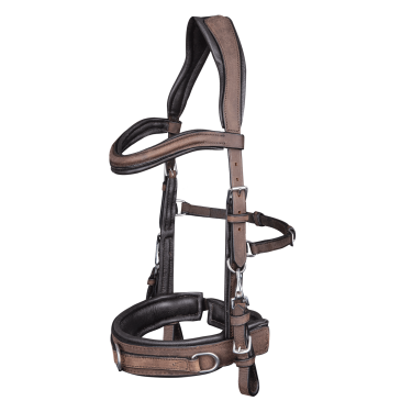 Caveçon Waldhausen aus anatomischem Leder Braun