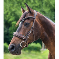 Caveçon Waldhausen aus anatomischem Leder Braun Caveçon Waldhausen aus anatomischem Leder Braun