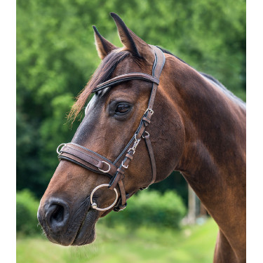 Caveçon Waldhausen aus anatomischem Leder Braun