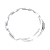LED-Halsband Waldhausen Weiß Weiß