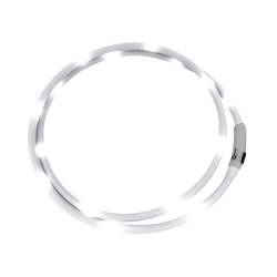 LED-Halsband Waldhausen Weiß Weiß