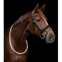 LED-Halsband Waldhausen Weiß Weiß