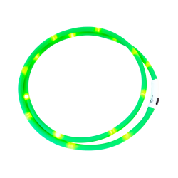 LED-Halsband Waldhausen Grün Gr&amp;amp;amp;amp;amp;amp;amp;amp;uuml;n