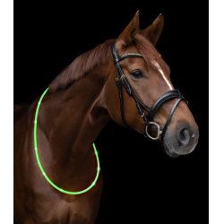 LED-Halsband Waldhausen Grün Gr&amp;amp;amp;amp;amp;amp;amp;amp;uuml;n