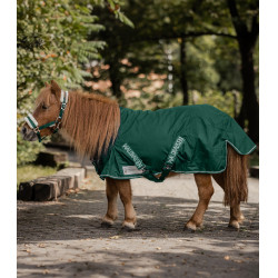 Regenmantel Waldhausen Shetland 100g Comfort Tannengrün Regenmantel Waldhausen Shetland 100g Comfort Tannengrün