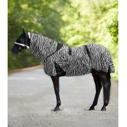 Ekzemerdecke Waldhausen Zebra