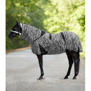 Ekzemerdecke Waldhausen Zebra