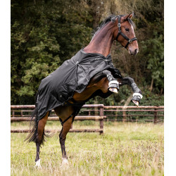 Outdoor-Decke Waldhausen Scandic 100 g Schwarz