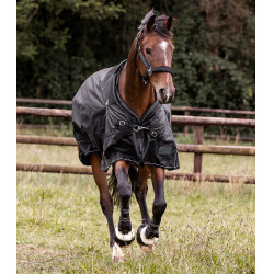 Waldhausen Scandic Outdoor-Decke 50 g Schwarz