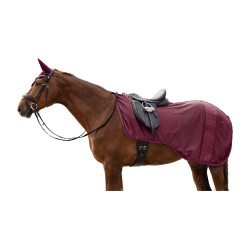 Waldhausen Rom Fliegendecke für Reitsport Samtrot