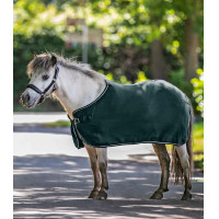 Fleece-Decke Waldhausen Economic Tannengrün Gr&uuml;n