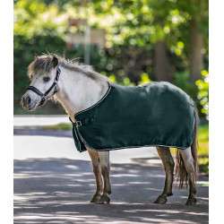 Fleece-Decke Waldhausen Economic Tannengrün Grün Fleece-Decke Waldhausen Economic Tannengrün Grün