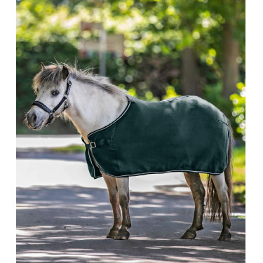 Fleece-Decke Waldhausen Economic Tannengrün Grün Fleece-Decke Waldhausen Economic Tannengrün Grün