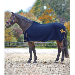 Sponsor-Fleece-Decke Waldhausen Blau / Gold