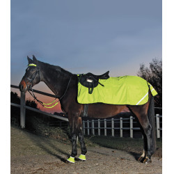 Waldhausen Reflex Polarfleece-Nierendecke