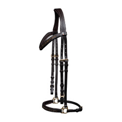Bridon Waldhausen Island Ice Braun / Gold