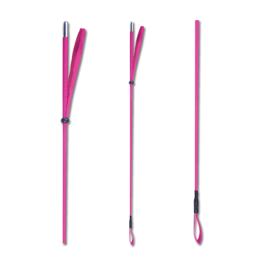 Waldhausen Reitgerte Pink Rosa