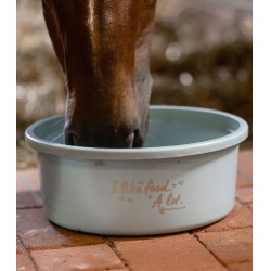 XL-Futtertrog mit Deckel Waldhausen Türkis Blau