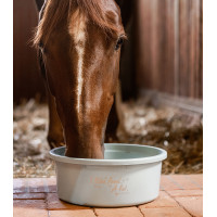 XL-Futtertrog mit Deckel Waldhausen Türkis Blau