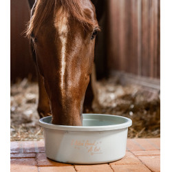 XL-Futtertrog mit Deckel Waldhausen Türkis Blau
