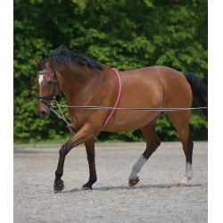Enrênement spécial Waldhausen Rot / Grau Enrênement spécial Waldhausen Rot / Grau