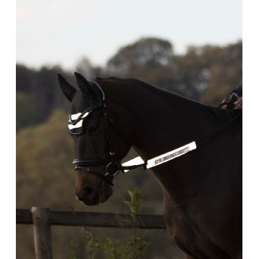 Reflektierendes Set Waldhausen für Reflex-Trensen Silbergrau