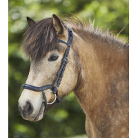 Filet Waldhausen Island anatomique Schwarz / Silber