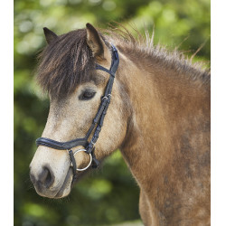 Filet Waldhausen Island anatomique Schwarz / Silber