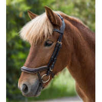 Filet Waldhausen Island anatomique Schwarz / Silber