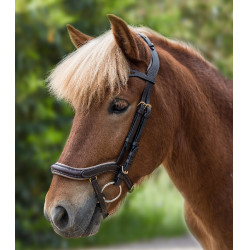 Filet Waldhausen Island anatomique Braun / Gold