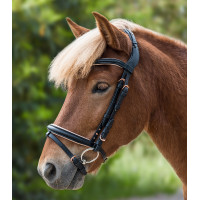 Filet Waldhausen Island Rose Schwarz / Roségold