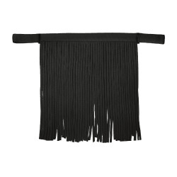 Frontal chasse-mouche Waldhausen Salon Schwarz