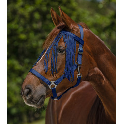 Frontal chasse-mouche Waldhausen Salon Blau