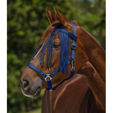 Frontal chasse-mouche Waldhausen Salon Blau