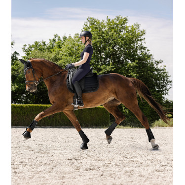 Guêtre de dressage Waldhausen Rimini Schwarz
