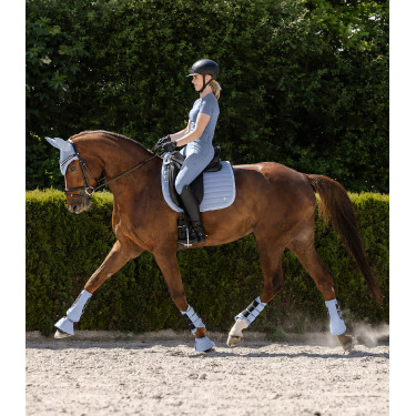 Guêtre de dressage Waldhausen Rimini Pastellblau