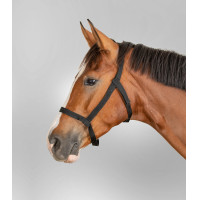 Licol de pâturage Waldhausen Schwarz Licol de pâturage Waldhausen Schwarz