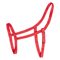 Licol de pâturage Waldhausen Rot