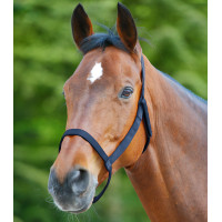 Licol de pâturage Waldhausen Mitternachtsblau