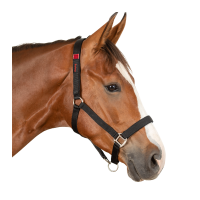 Licol de sécurité Waldhausen Schwarz Licol de sécurité Waldhausen Schwarz