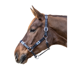 Licol en cuir Waldhausen Polo Schwarz