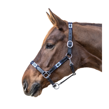 Licol en cuir Waldhausen Polo Schwarz