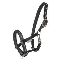 Licol Poulain Waldhausen Confort Schwarz