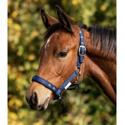 Licol Poulain Waldhausen Confort Dunkelblau