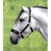 Licol pour longé Waldhausen Rosé Schwarz Licol pour longé Waldhausen Rosé Schwarz
