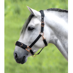 Licol pour longé Waldhausen Rosé Schwarz