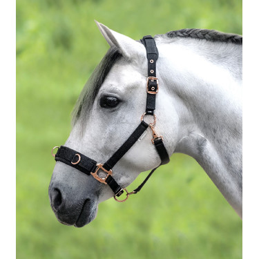 Licol pour longé Waldhausen Rosé Schwarz