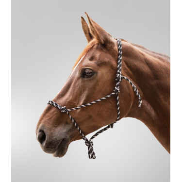 Licol Waldhausen à noeuds Schwarz / Weiß Licol Waldhausen à noeuds Schwarz / Weiß