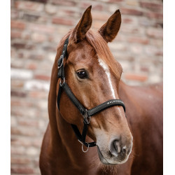 Licol Waldhausen Atheltic Schwarz